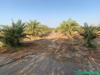 مزرعة للبيع Shobbak Saudi Arabia