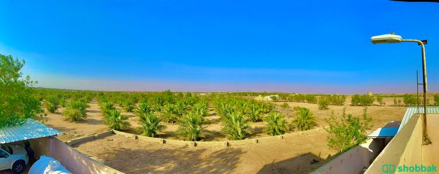 مزرعة للبيع Shobbak Saudi Arabia