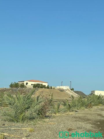 مزرعة للبيع  Shobbak Saudi Arabia