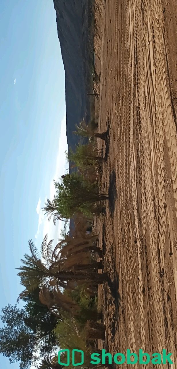 مزرعة للبيع بصك شرعي الإلكتروني  عسفان  (فيده) Shobbak Saudi Arabia
