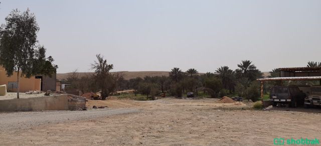 مزرعة للبيع في تمير عالسوم  Shobbak Saudi Arabia