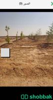مزرعة للبيع في محافظة الجلة ٤٠٠٠٠ م شباك السعودية