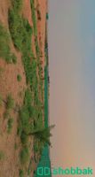 مزرعه بساجر  Shobbak Saudi Arabia