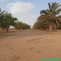 مزرعه للبيع Shobbak Saudi Arabia