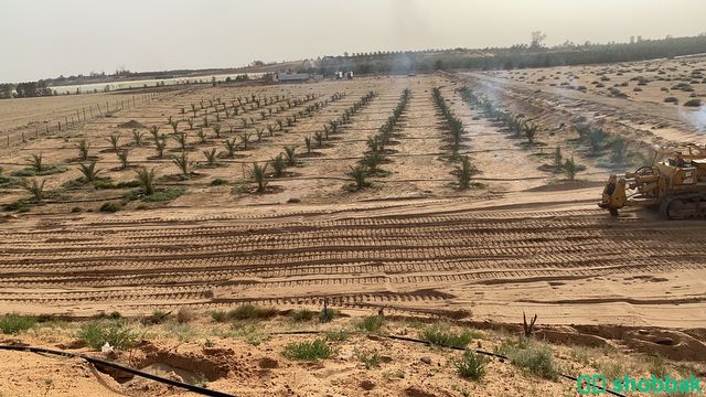 مزرعه للبيع او للايجار  Shobbak Saudi Arabia