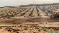 مزرعه للبيع او للايجار  Shobbak Saudi Arabia