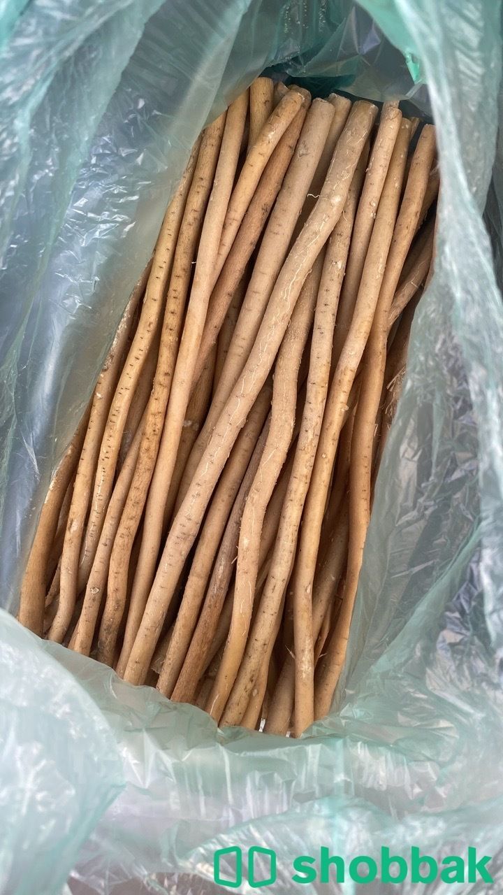 مساويك ابو حنش  شباك السعودية