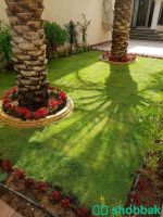 مشتل لبيع النباتات الداخلية والخارجية  Shobbak Saudi Arabia