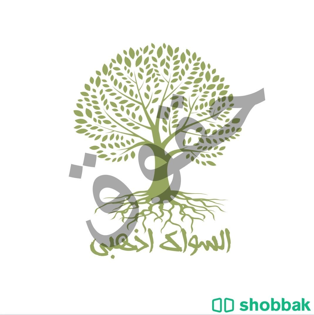 مصمم محترف Shobbak Saudi Arabia