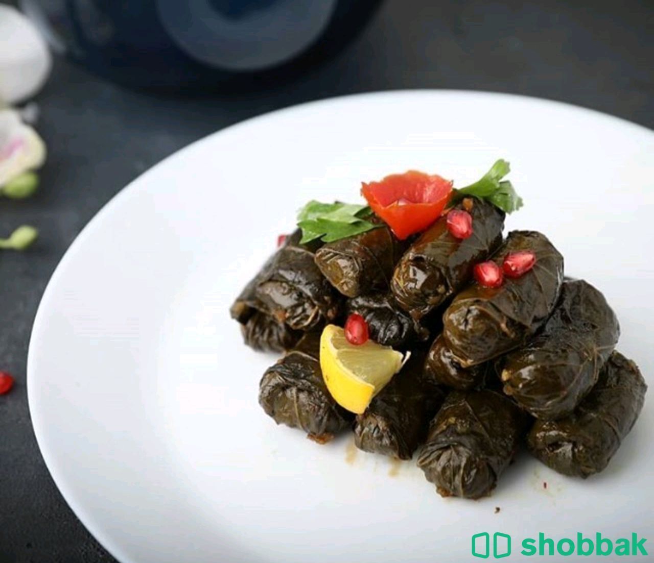 مطعم وجبات سريعة للتقبيل Shobbak Saudi Arabia