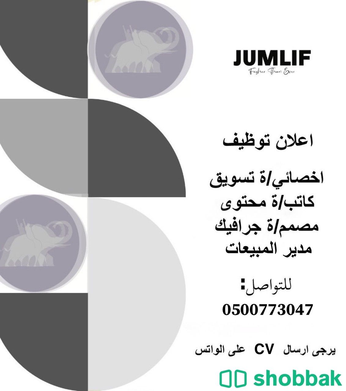 مطلوب موظفين لشركه jumlif للملابس Shobbak Saudi Arabia