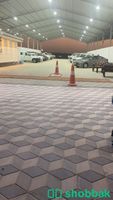 ⭐️ معرض سيارات مميز للايجار بحي القادسية ⭐️ Shobbak Saudi Arabia