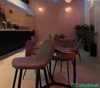 مقهى للبيع Shobbak Saudi Arabia