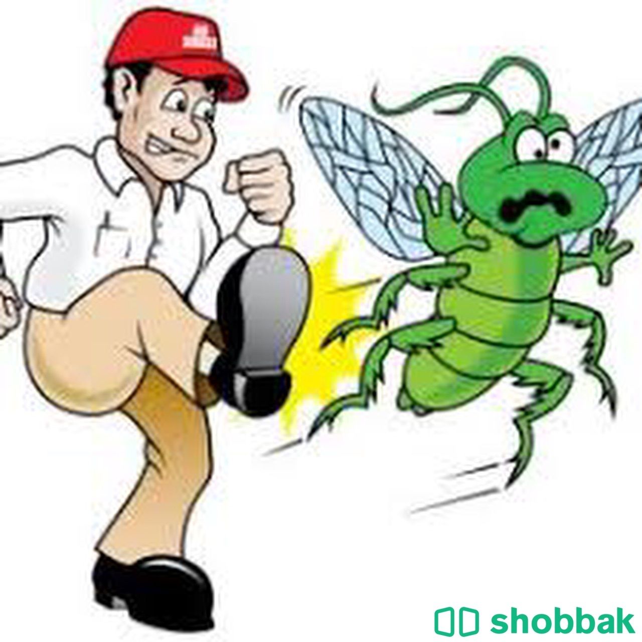 شركة مكافحة حشرات ببريدة رش مبيدات بريدة رش مبيد Shobbak Saudi Arabia