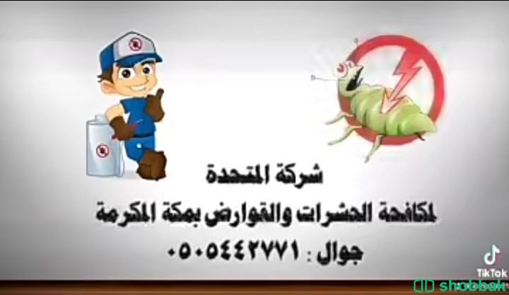 مكافحة حشرات بمكه  Shobbak Saudi Arabia