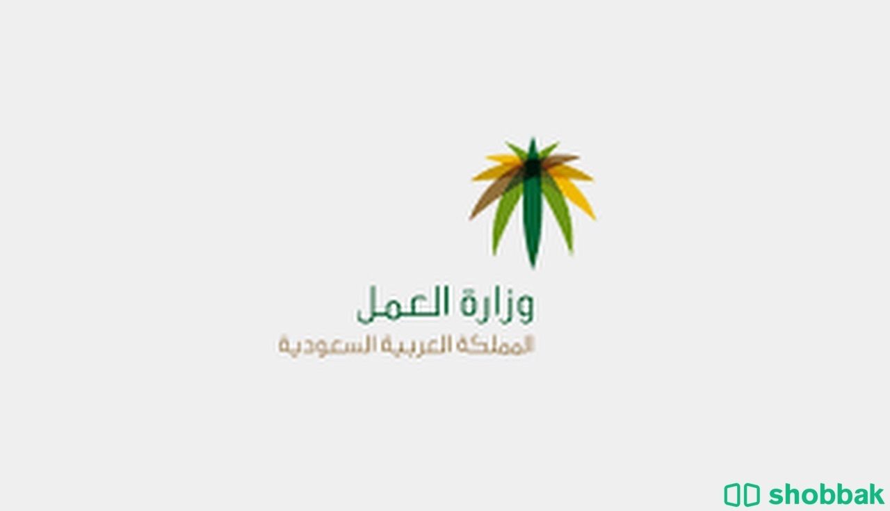 مكتب العمل  خدمات الكترونيه  Shobbak Saudi Arabia