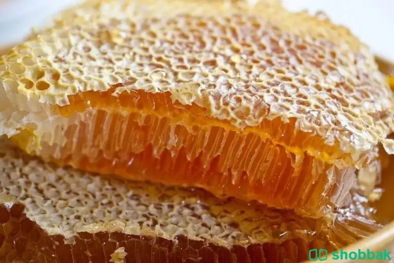 مناحل بلسم لبيع العسل الطبيعي Shobbak Saudi Arabia