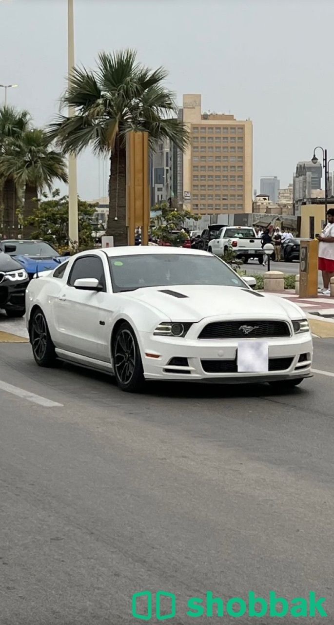موستنج 2013 GT Shobbak Saudi Arabia