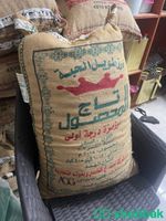 نبات السمح لبيع  Shobbak Saudi Arabia