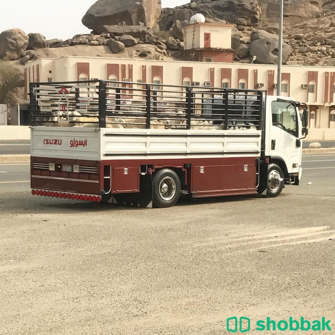 نقل عفش نقل اثاث بالرياض  Shobbak Saudi Arabia