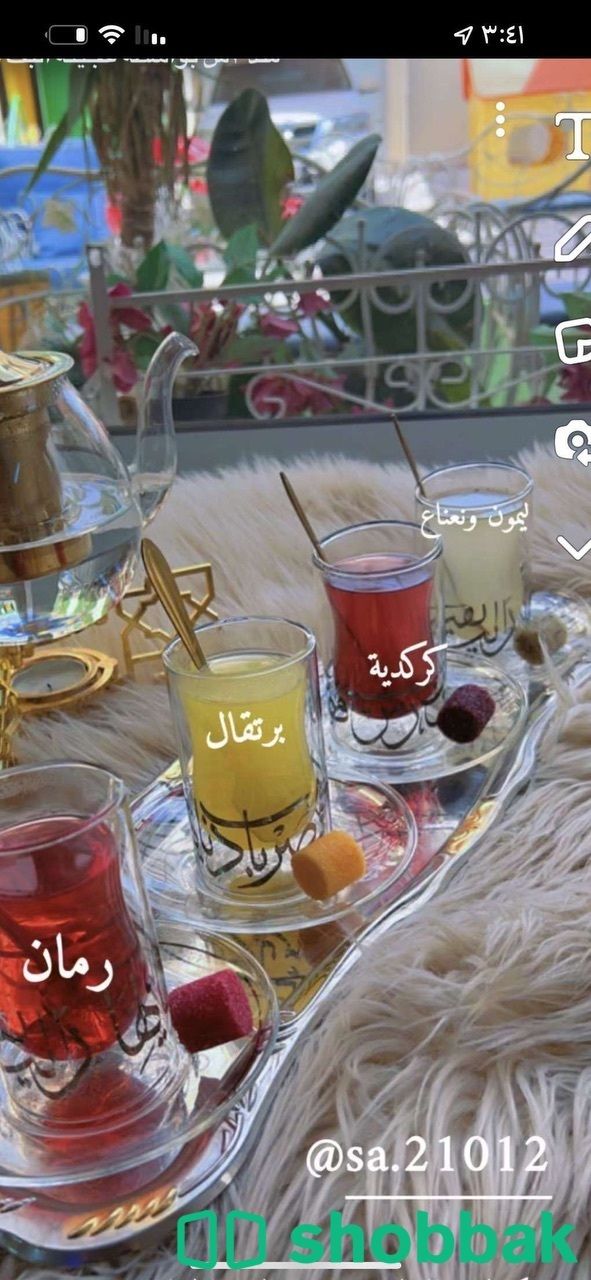 نكهات شاي  Shobbak Saudi Arabia