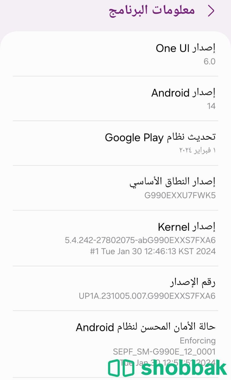 هاتف ذكي ثنائي شرائح الاتصال جالكسي S21 FE من سامسونج  Shobbak Saudi Arabia