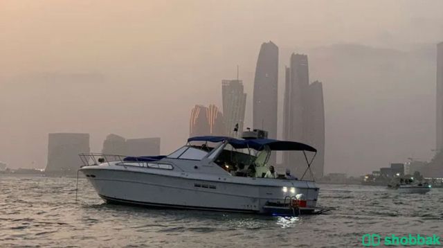 يخت صغير 🛥 شباك الإمارات العربية المتحدة