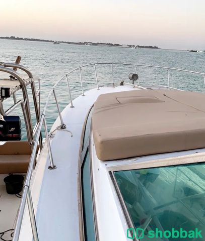 يخت صغير 🛥 شباك الإمارات العربية المتحدة
