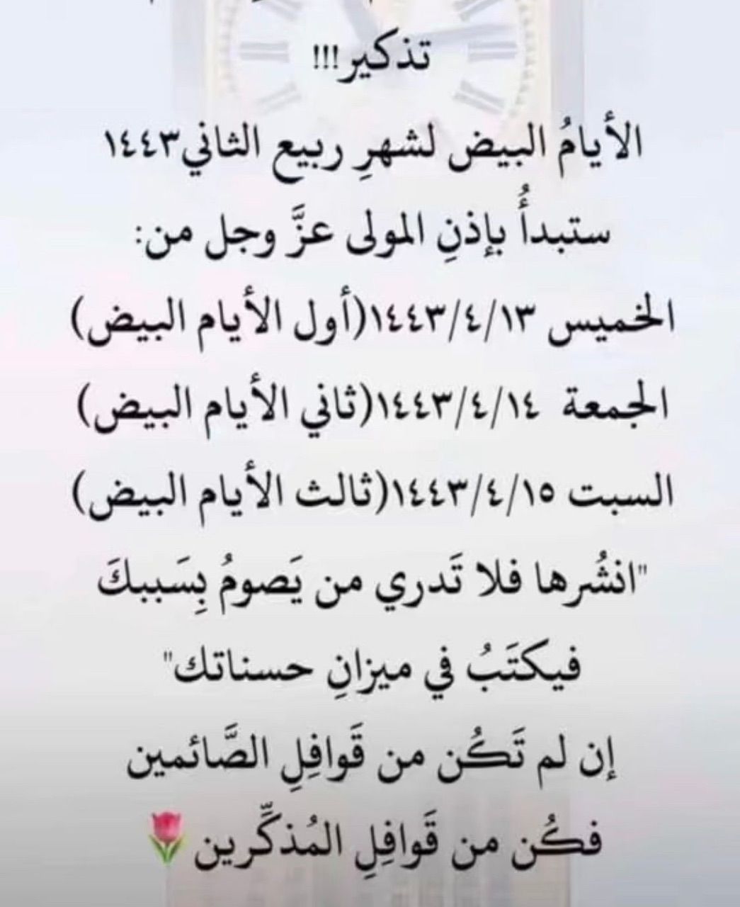 شباك السعودية 42
